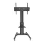 Wolff Mount TVB-98 tv floor stand – product view