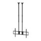 Extreme-Duty Dual-Column Ceiling Mount | TVB-116